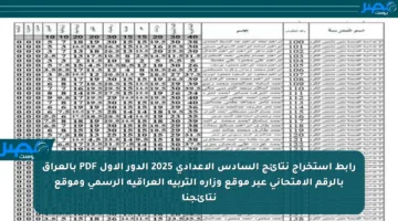 رابط استخراج نتائج السادس الإعدادي 2025 الدور الأول PDF بالعراق بالرقم الامتحاني عبر موقع وزارة التربية العراقية الرسمي وموقع نتائجنا